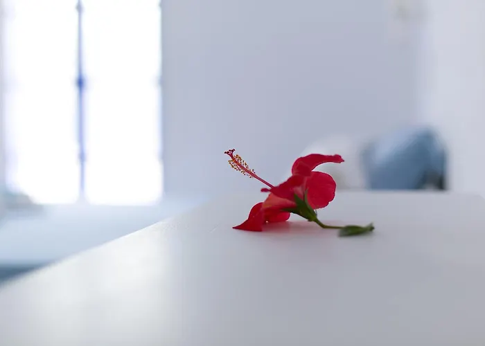 Seaside And Tours In Naxos, Greece *