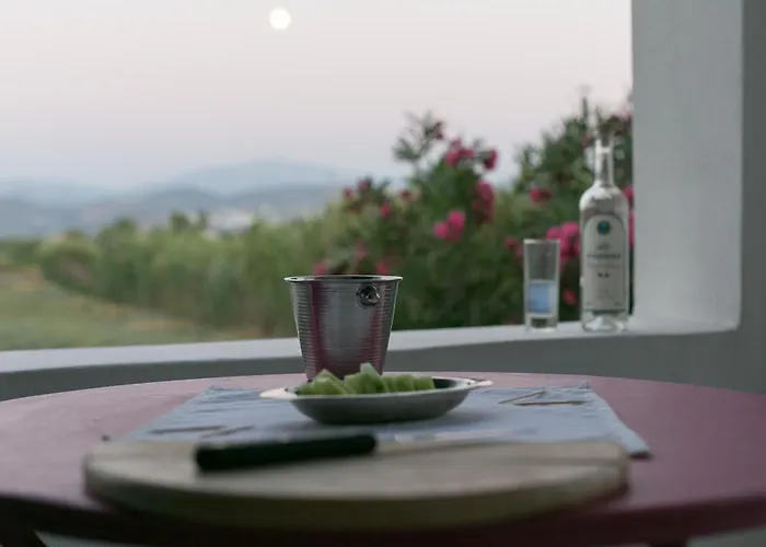 Seaside And Tours In Naxos, Greece Appartamento *