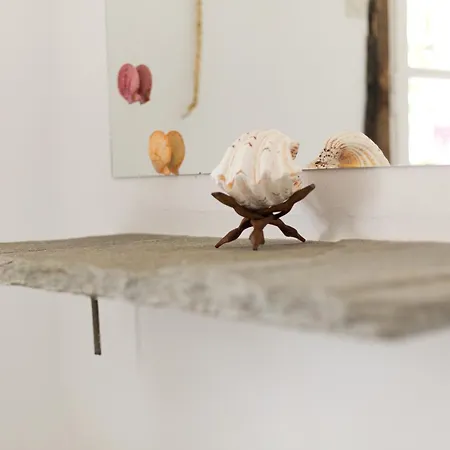 Seaside And Tours In Naxos, Greece