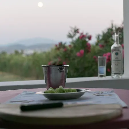 Seaside And Tours In Naxos, Greece Apartmán *