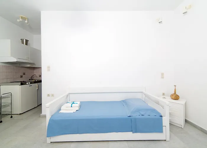 Apartment Seaside And Tours In Naxos, Greece Naxos City